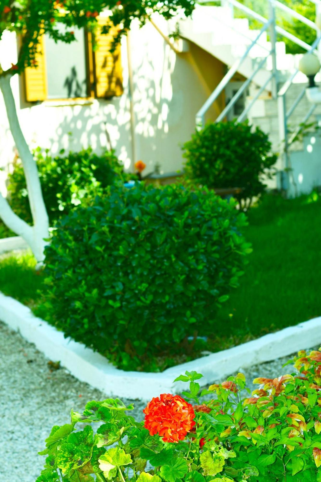 Garden Rooms ヒマラ エクステリア 写真